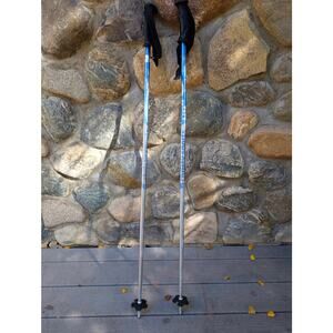 Rossignol ski poles 120 48"